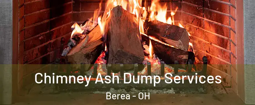  Chimney Ash Dump Services Berea - OH