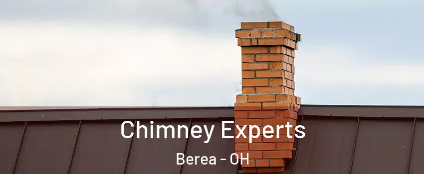  Chimney Experts Berea - OH
