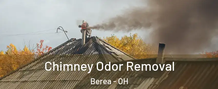  Chimney Odor Removal Berea - OH
