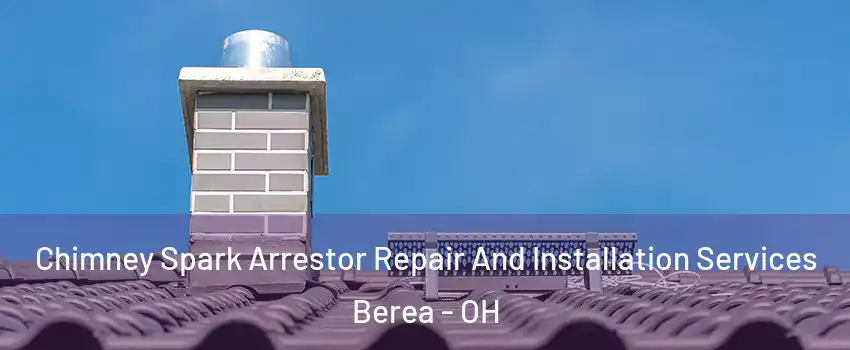  Chimney Spark Arrestor Repair And Installation Services Berea - OH