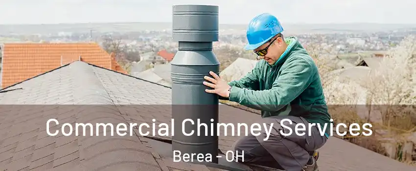  Commercial Chimney Services Berea - OH
