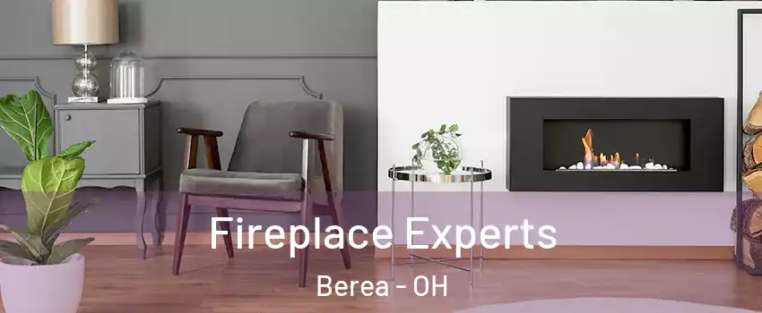  Fireplace Experts Berea - OH