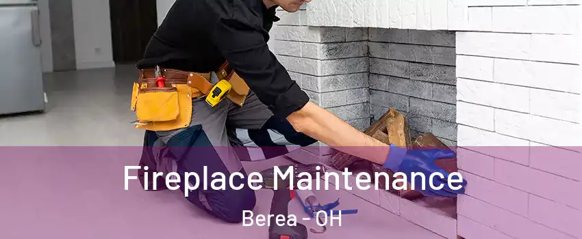  Fireplace Maintenance Berea - OH