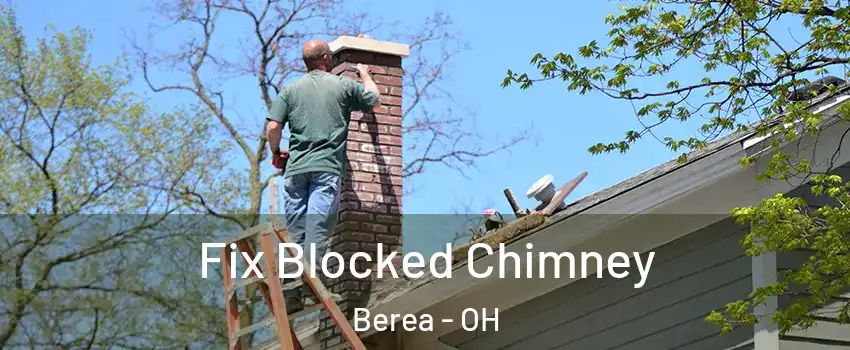  Fix Blocked Chimney Berea - OH