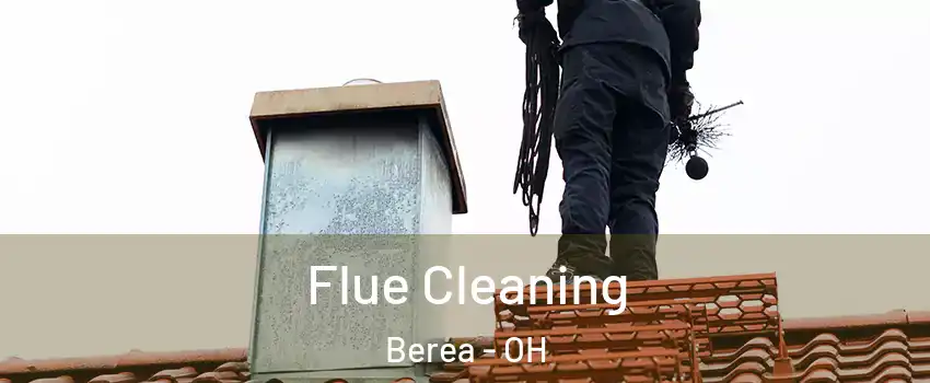  Flue Cleaning Berea - OH