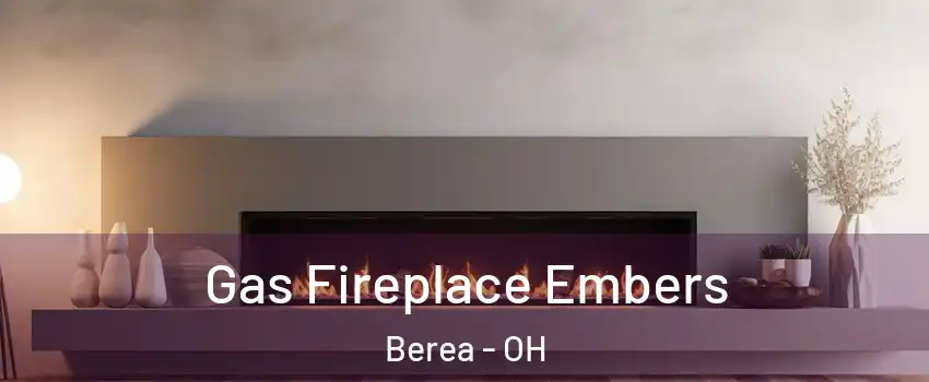  Gas Fireplace Embers Berea - OH