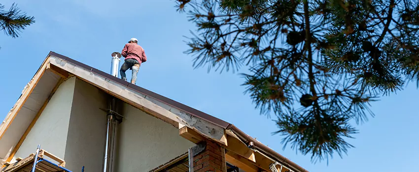 Birds Removal Contractors from Chimney in Berea, OH