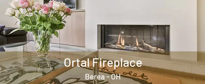  Ortal Fireplace Berea - OH