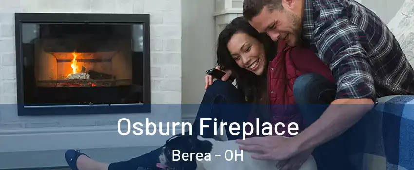  Osburn Fireplace Berea - OH
